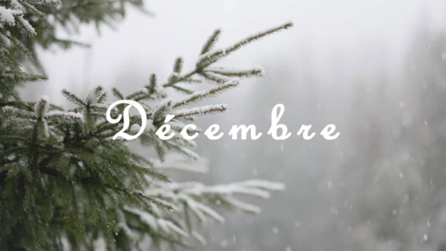decembre2024